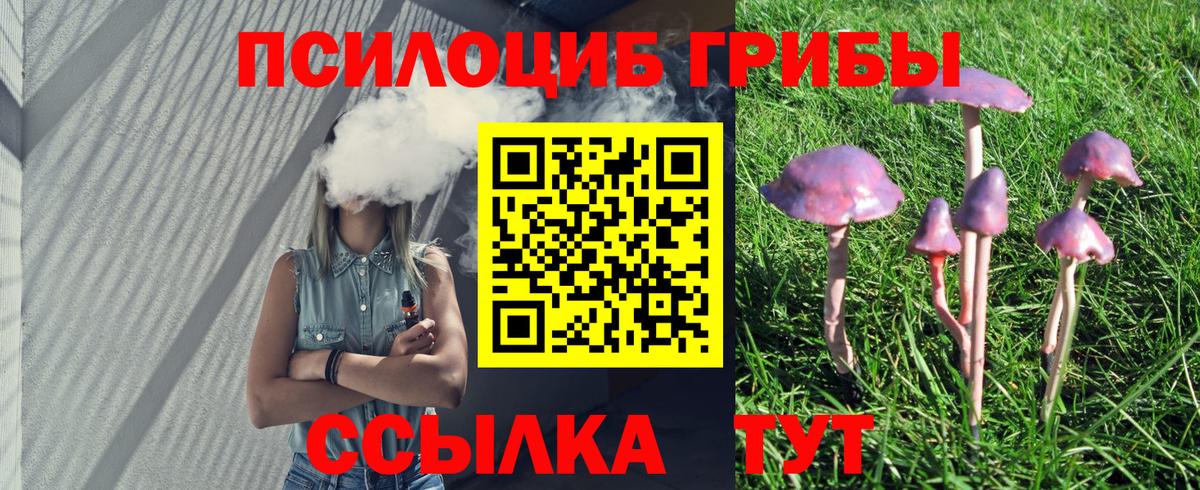 Псилоцибиновые грибы ЛСД  цена   Тверь  Галлюциногенные грибы Magic Shrooms  Вход с VPN 